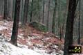 Findling 5 bei Haselberg nahe Wierzen in der Märkischen Schweiz, Brandenburg, (D) (11) 24. Januar 2016.JPG